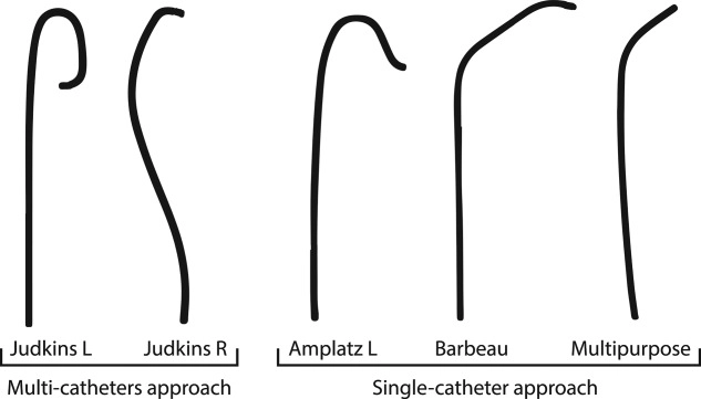 GUIDING CATHETER HEARTRAIL - Image 4