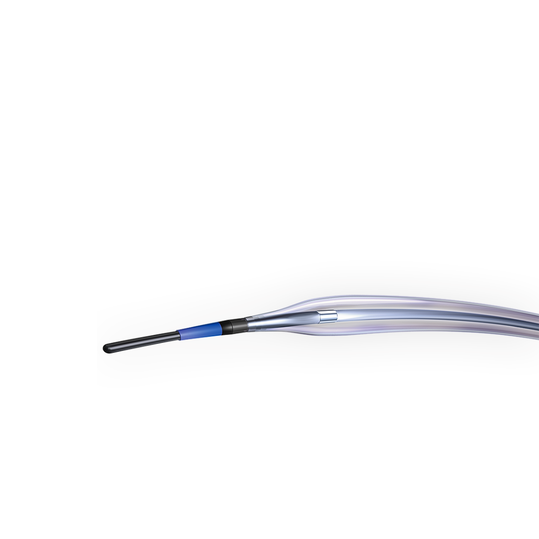 BOSTON SCIENTIFIC MUSTANG