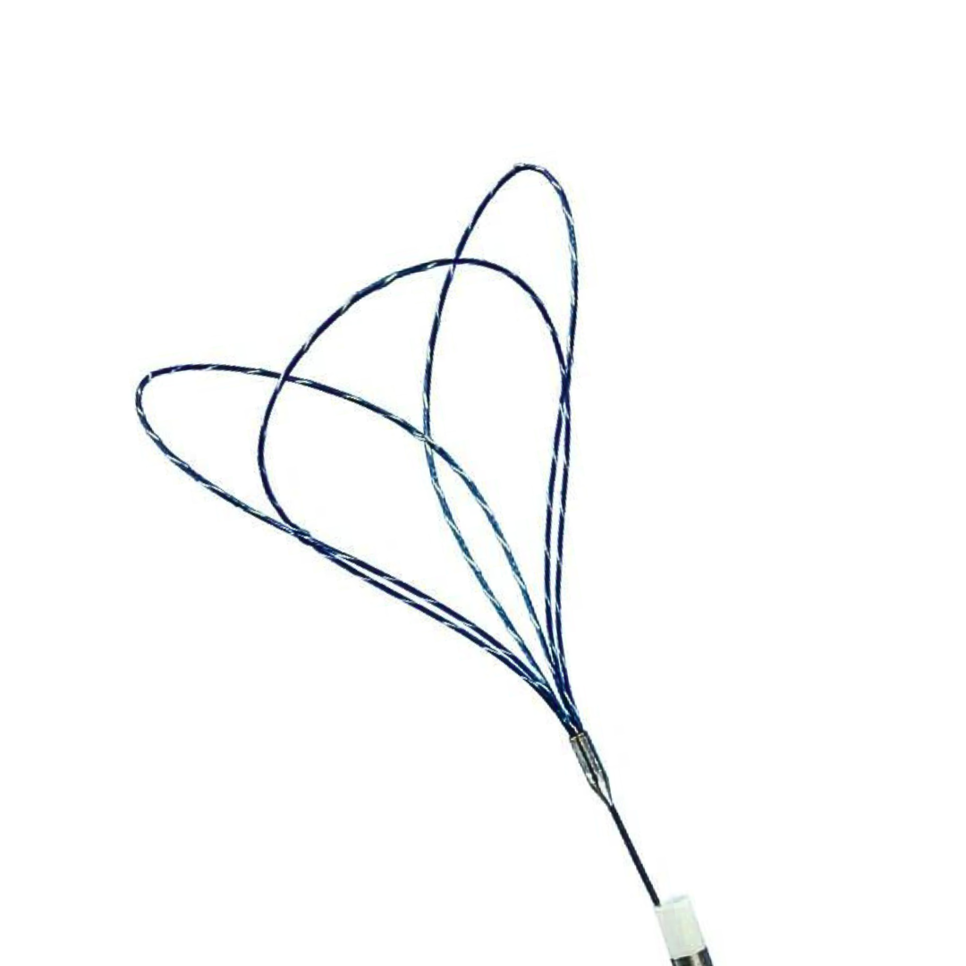 Endovascular Snare - Image 3